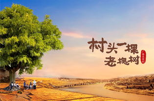 西安文藝創作精品打響古都文化品牌 抒寫精彩中國故事