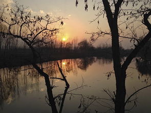 藝術與數字的雙重奏 設計藝術學院學子以個人互聯網服務榮獲中華杯全國文學創作大賽三等獎